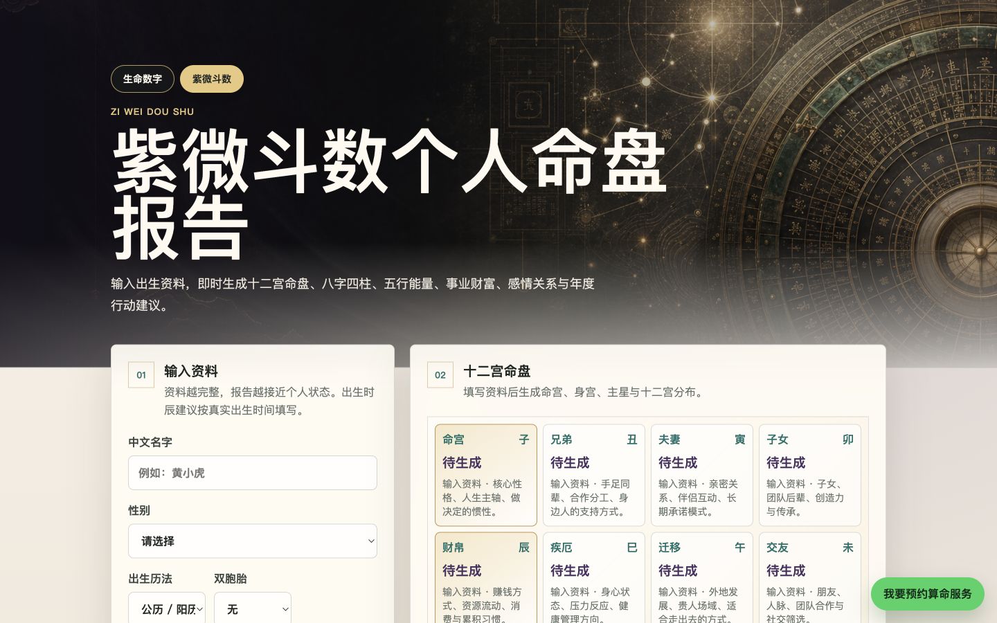 Ziwei No1 网站截图